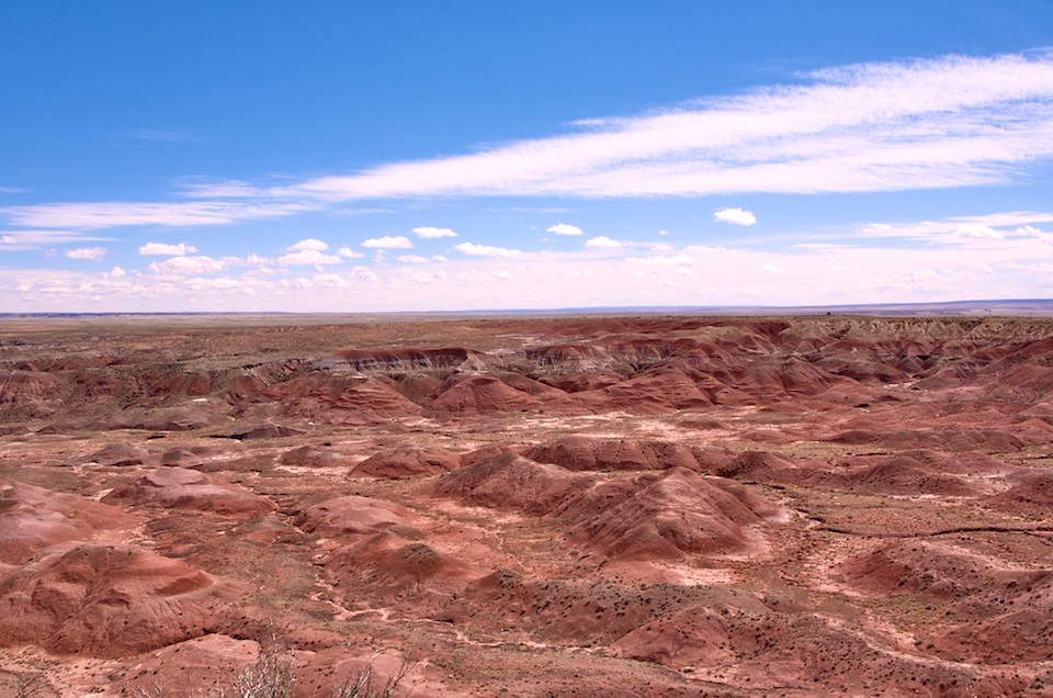 Painted Desert by Brandon Bohling